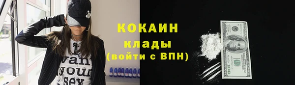 бошки Бородино